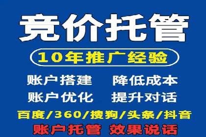 百度广告投放策略与效果评估案例